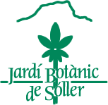 Jardí Botànic de Sóller